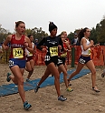 2010CIF XC GD1-1102